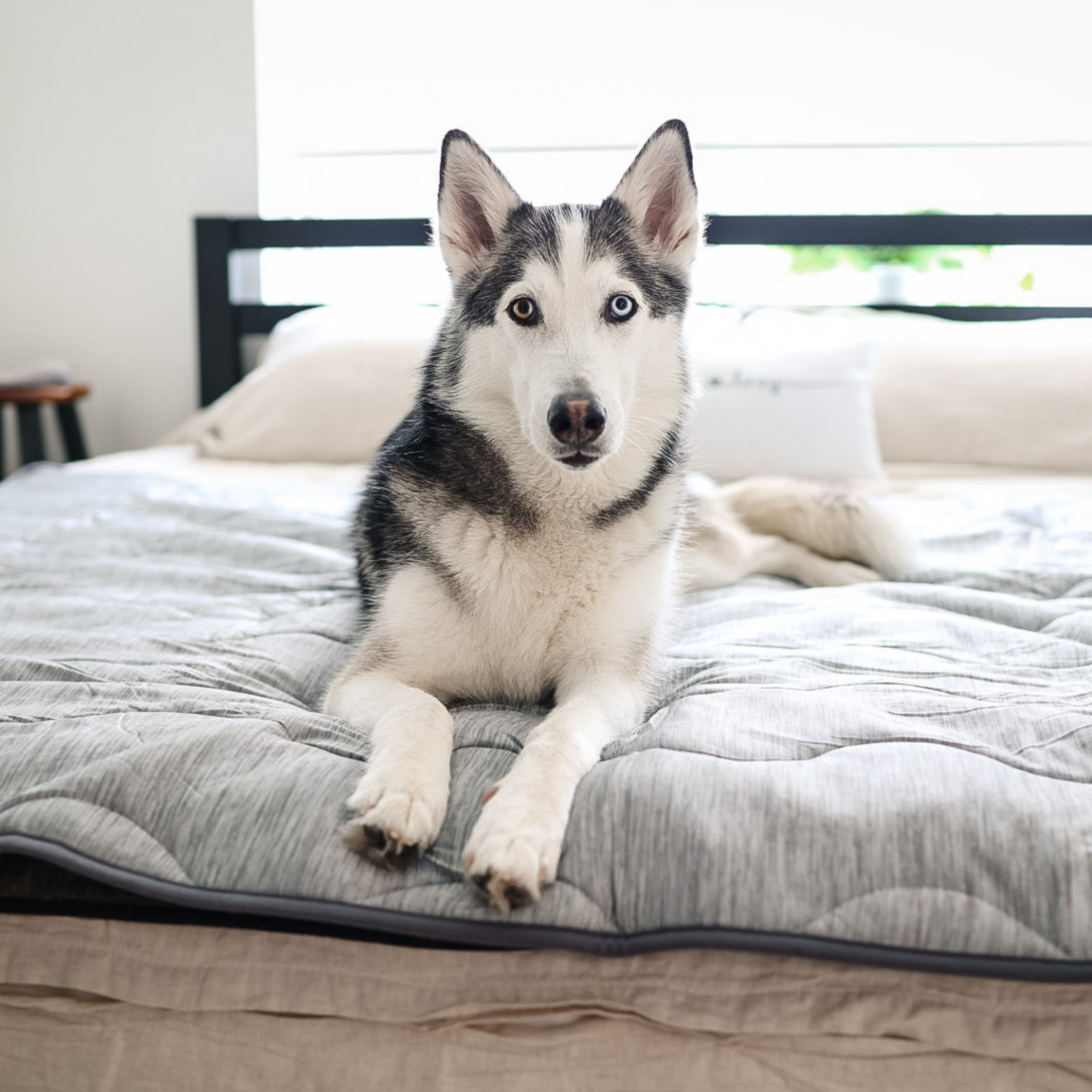 PupChill™ Cooling Waterproof Blanket - Arctic Grey