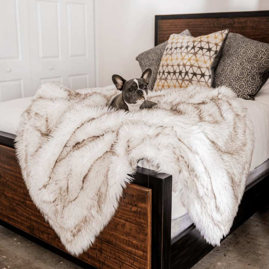 PupProtector™ Waterproof Throw Blanket - White with Brown Accents