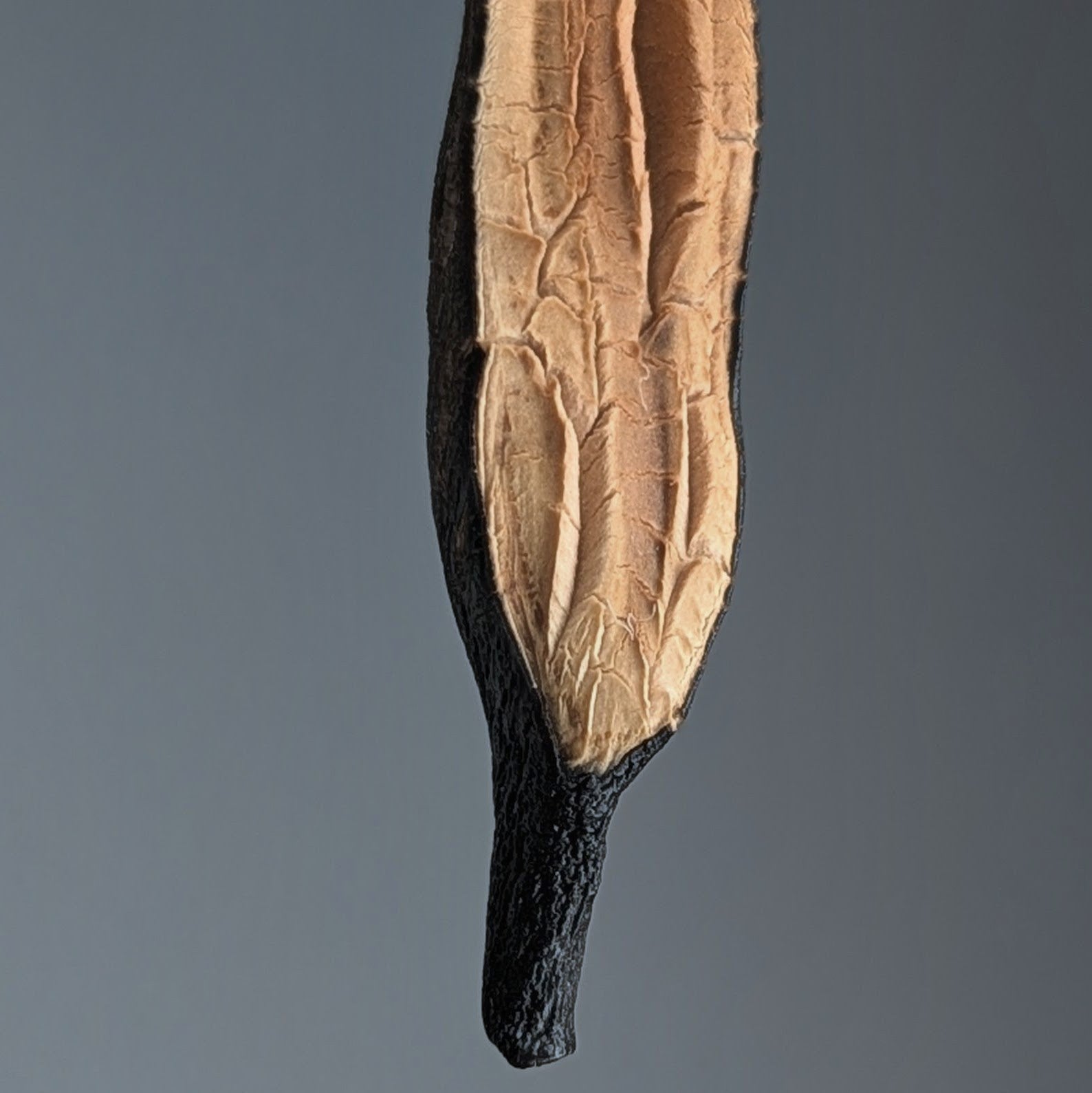 Aladys Pendant Necklace