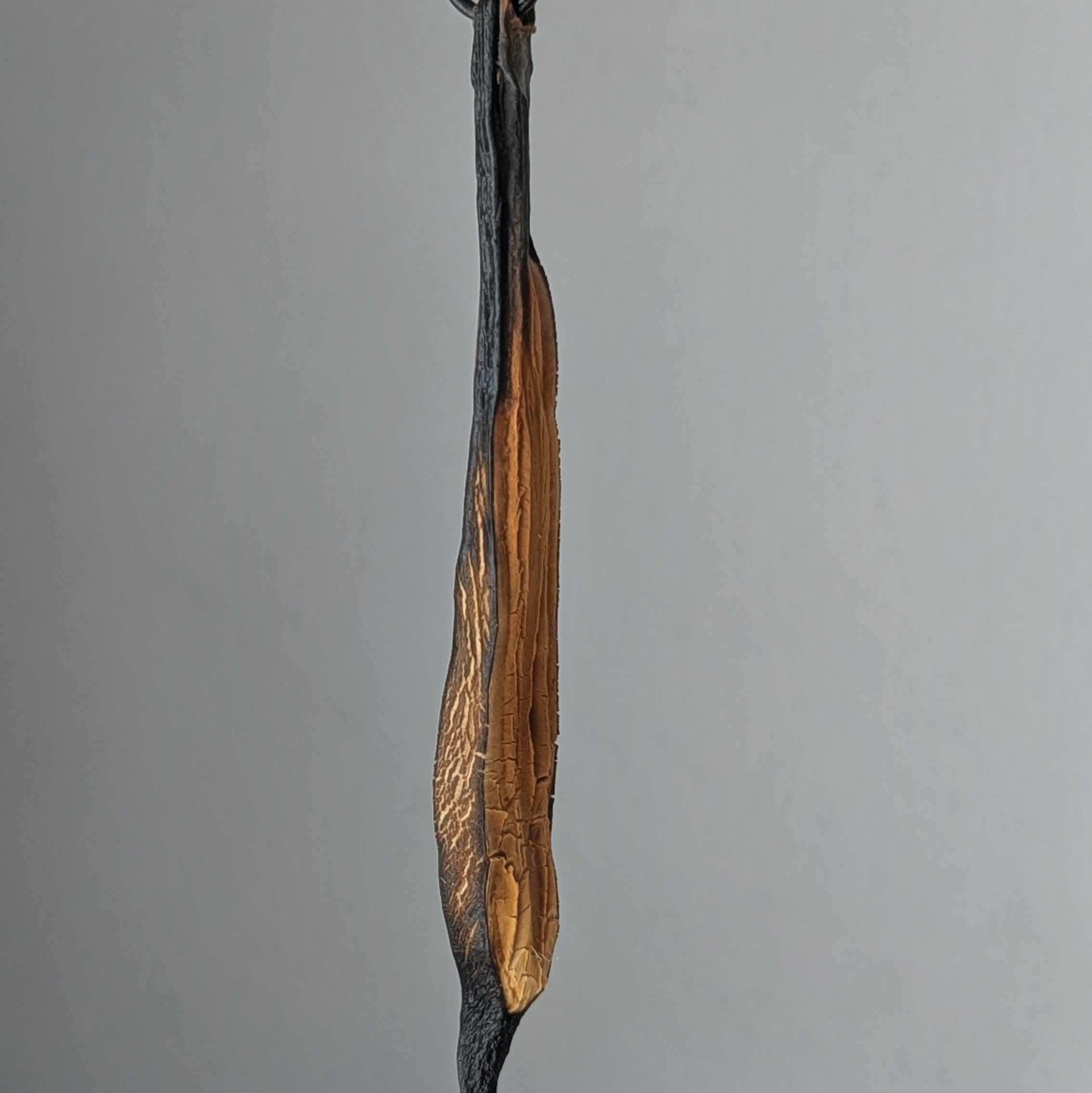 Aladys Pendant Necklace