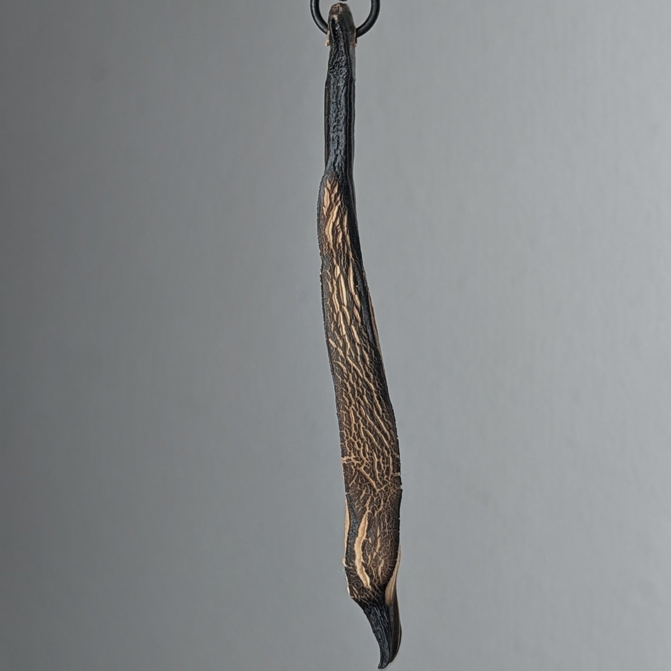 Aladys Pendant Necklace