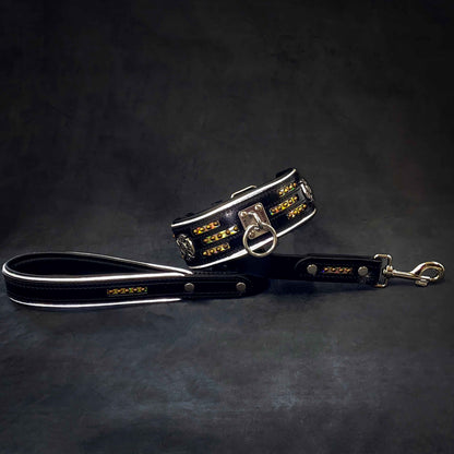 "Atlantis" Dog Collar