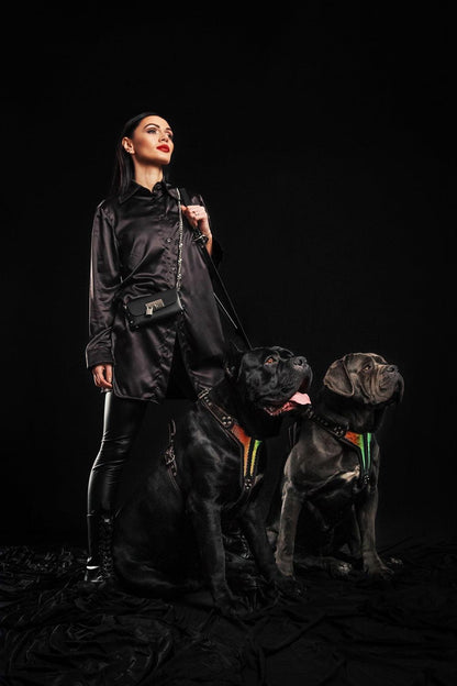 The "D`Albertis" Dog Harness LIMITED