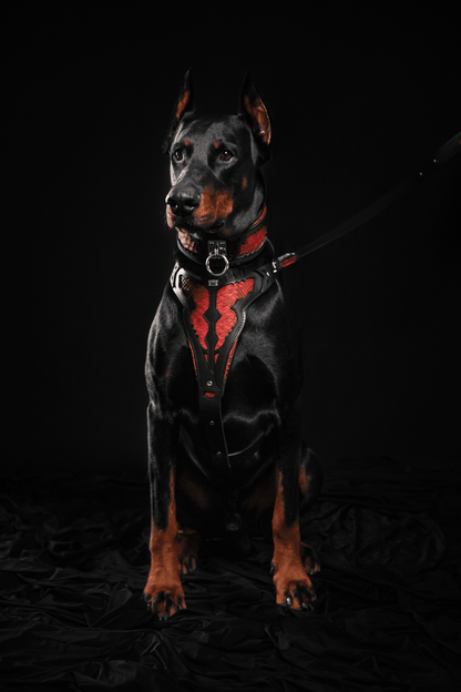The "Red Dragon" Dog Collar
