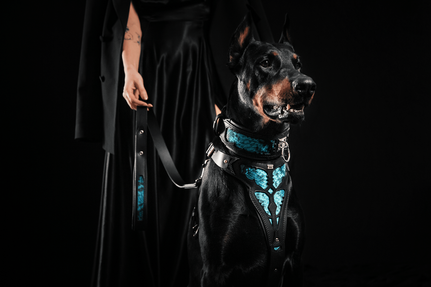 The "Morelia Python" Dog Collar