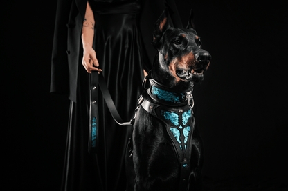 The "Morelia Python" Dog Collar