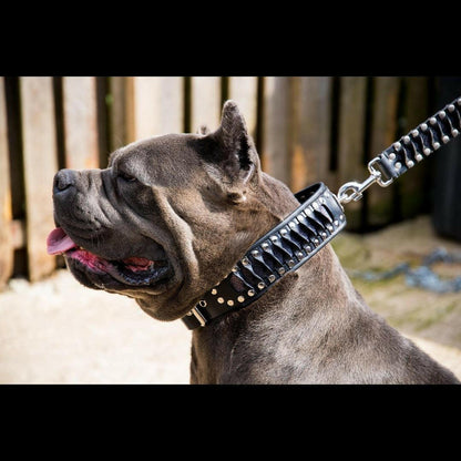 The "Steampunk" Collar Exclusive Design