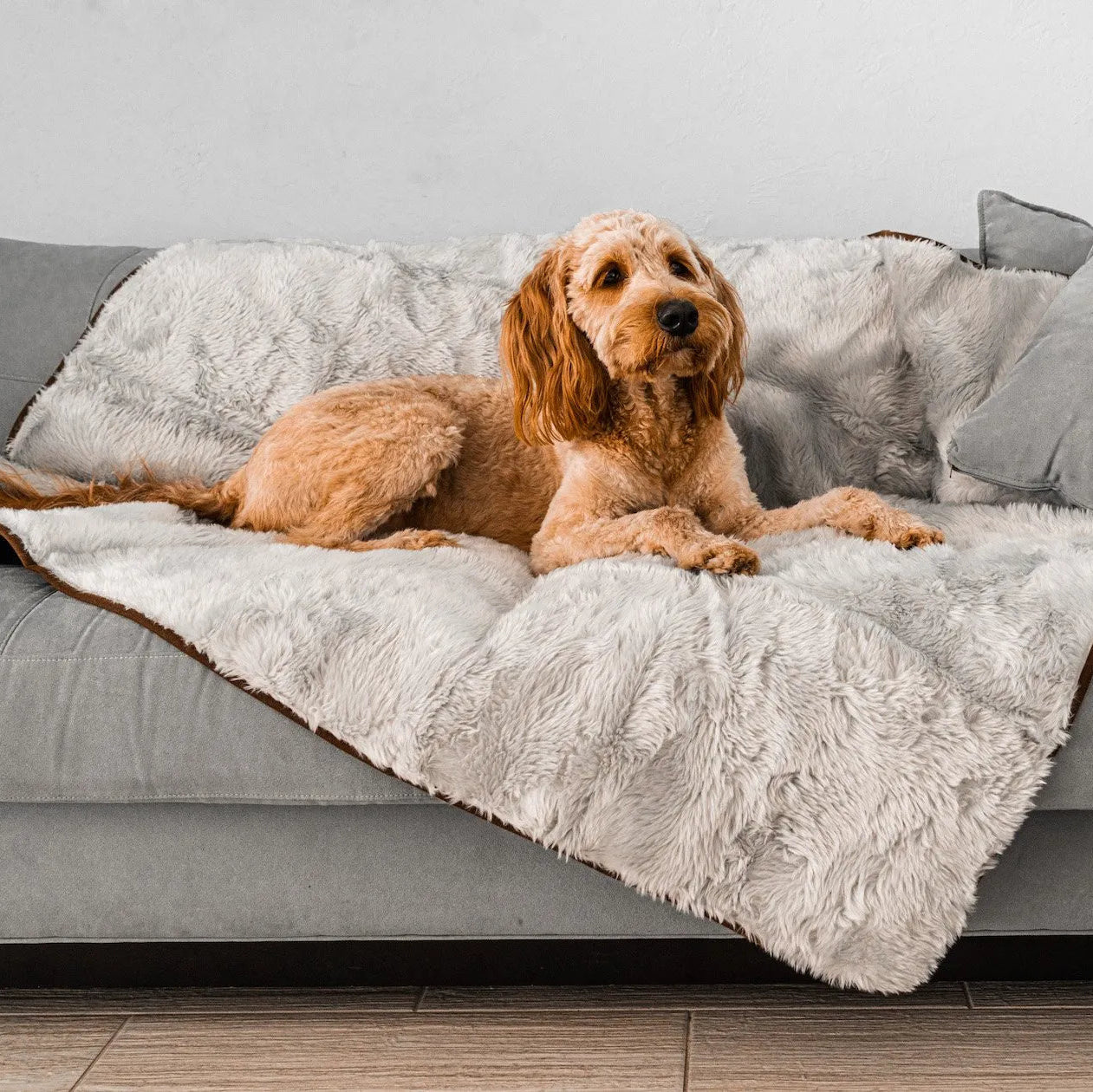 PupProtector™ Short Fur Waterproof Throw Blanket - Grey