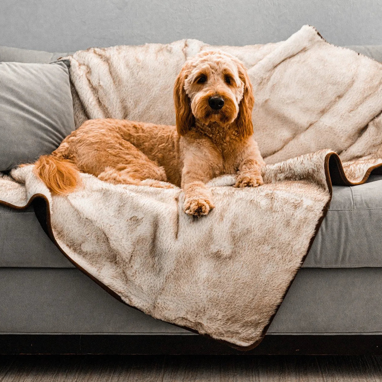PupProtector™ Short Fur Waterproof Throw Blanket - White with Brown Accents