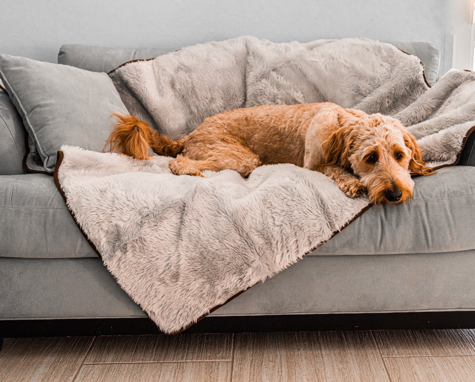 PupProtector™ Short Fur Waterproof Throw Blanket - Grey