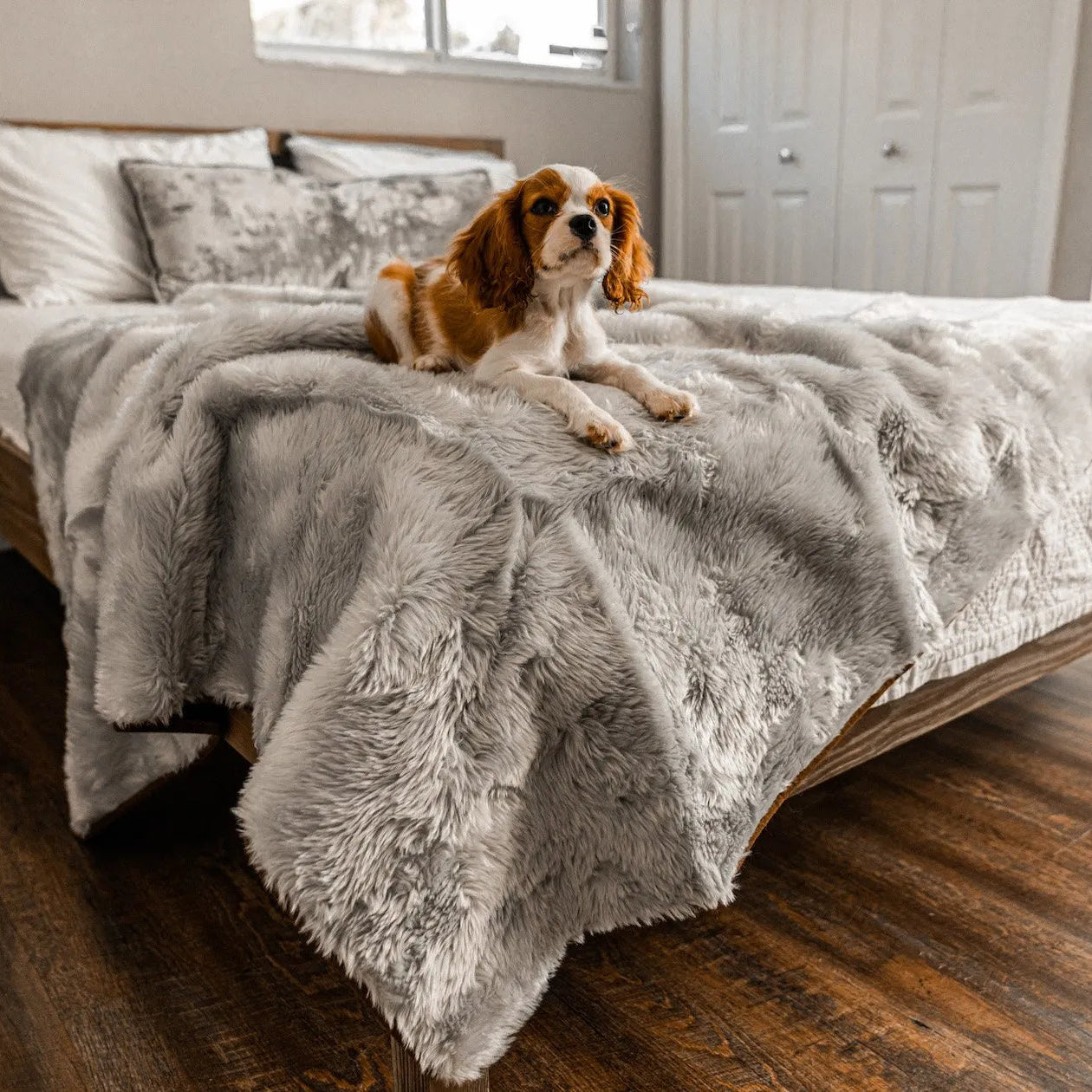 PupProtector™ Short Fur Waterproof Throw Blanket - Grey