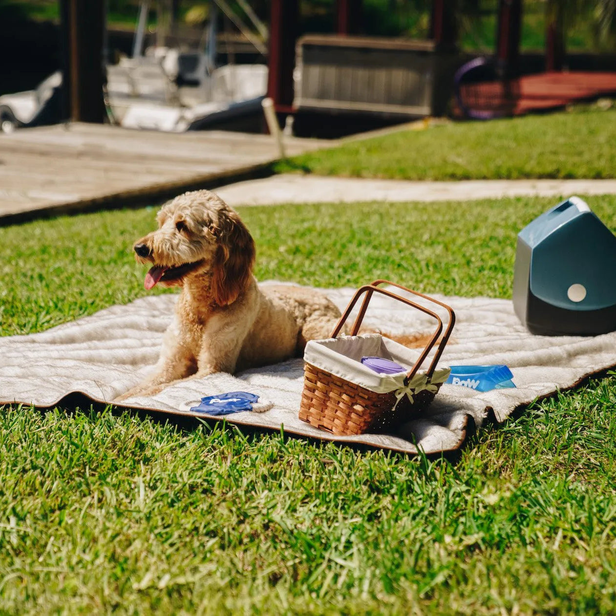 PupProtector™ Short Fur Waterproof Throw Blanket - White with Brown Accents