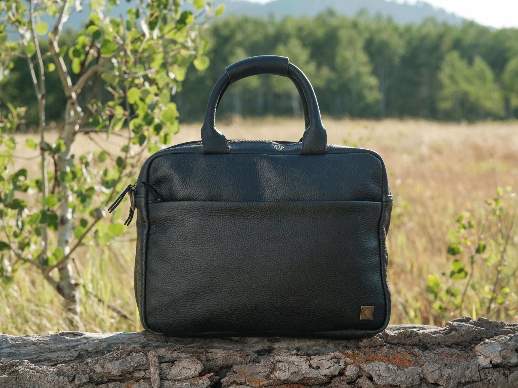 Leather Pilot Briefcase