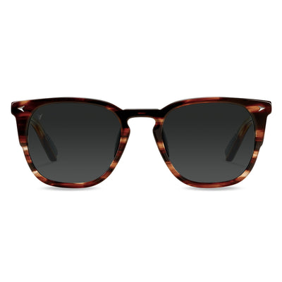 The Echo Sunglasses - Brown Horn