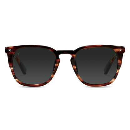 The Echo Sunglasses - Brown Horn