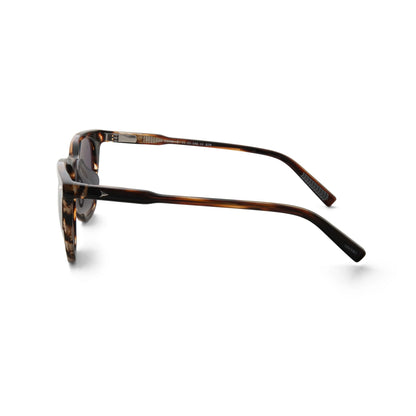 The Echo Sunglasses - Brown Horn