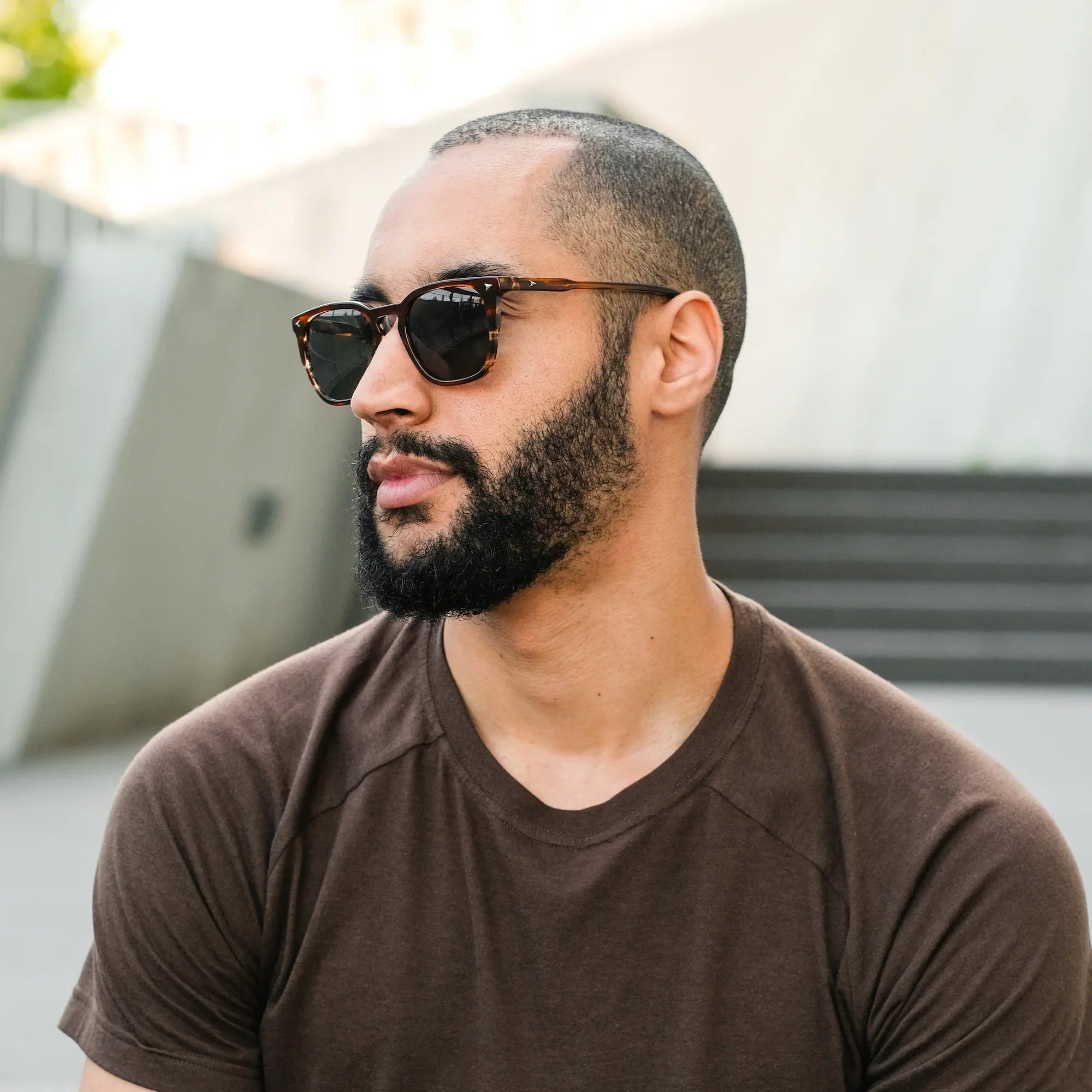 The Echo Sunglasses - Brown Horn