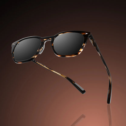 The Echo Sunglasses - Brown Horn