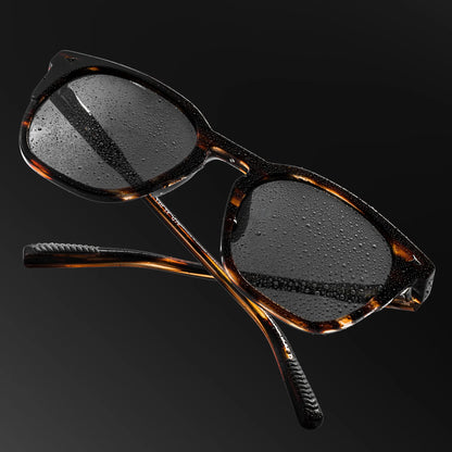 The Echo Sunglasses - Brown Horn