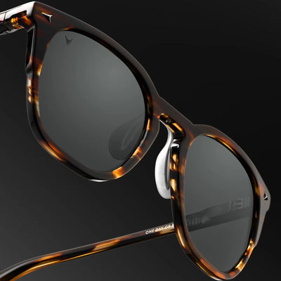 The Echo Sunglasses - Brown Horn