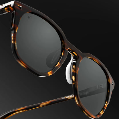 The Echo Sunglasses - Brown Horn