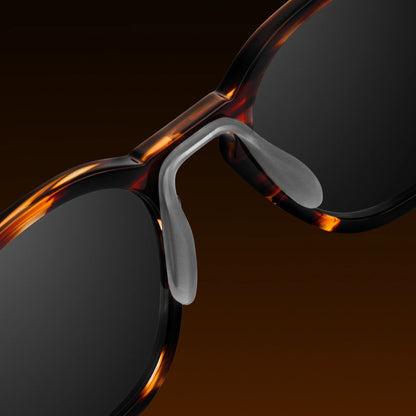 The Echo Sunglasses - Brown Horn