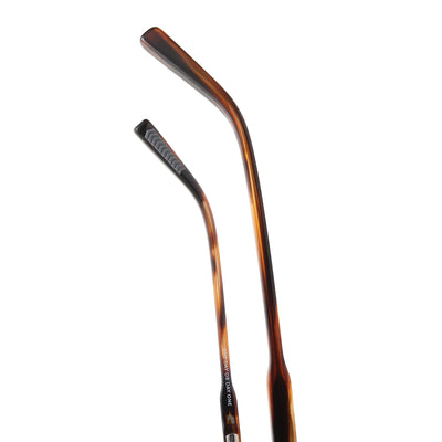 The Echo Sunglasses - Brown Horn