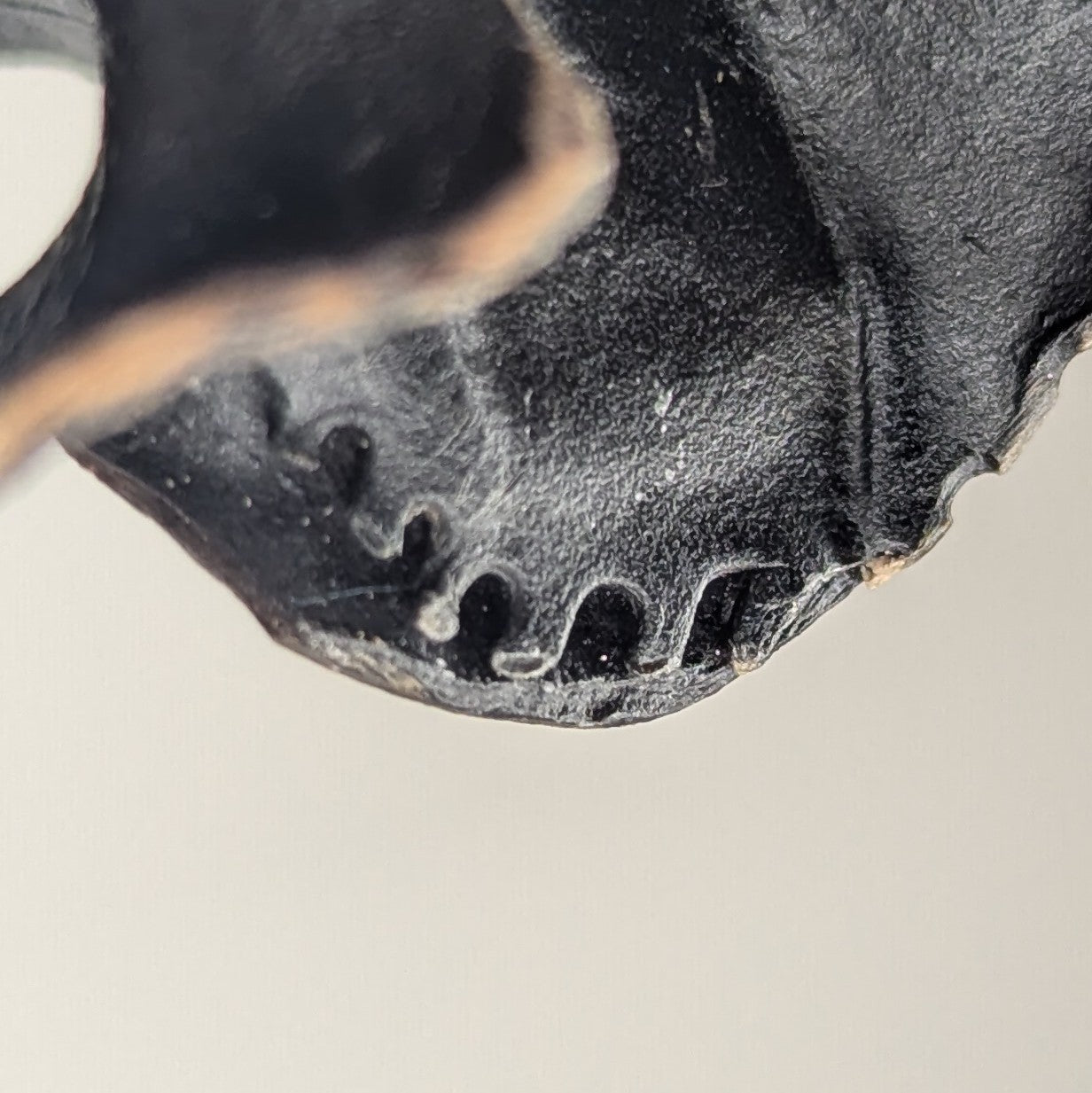 Fucalophrys Pendant Necklace