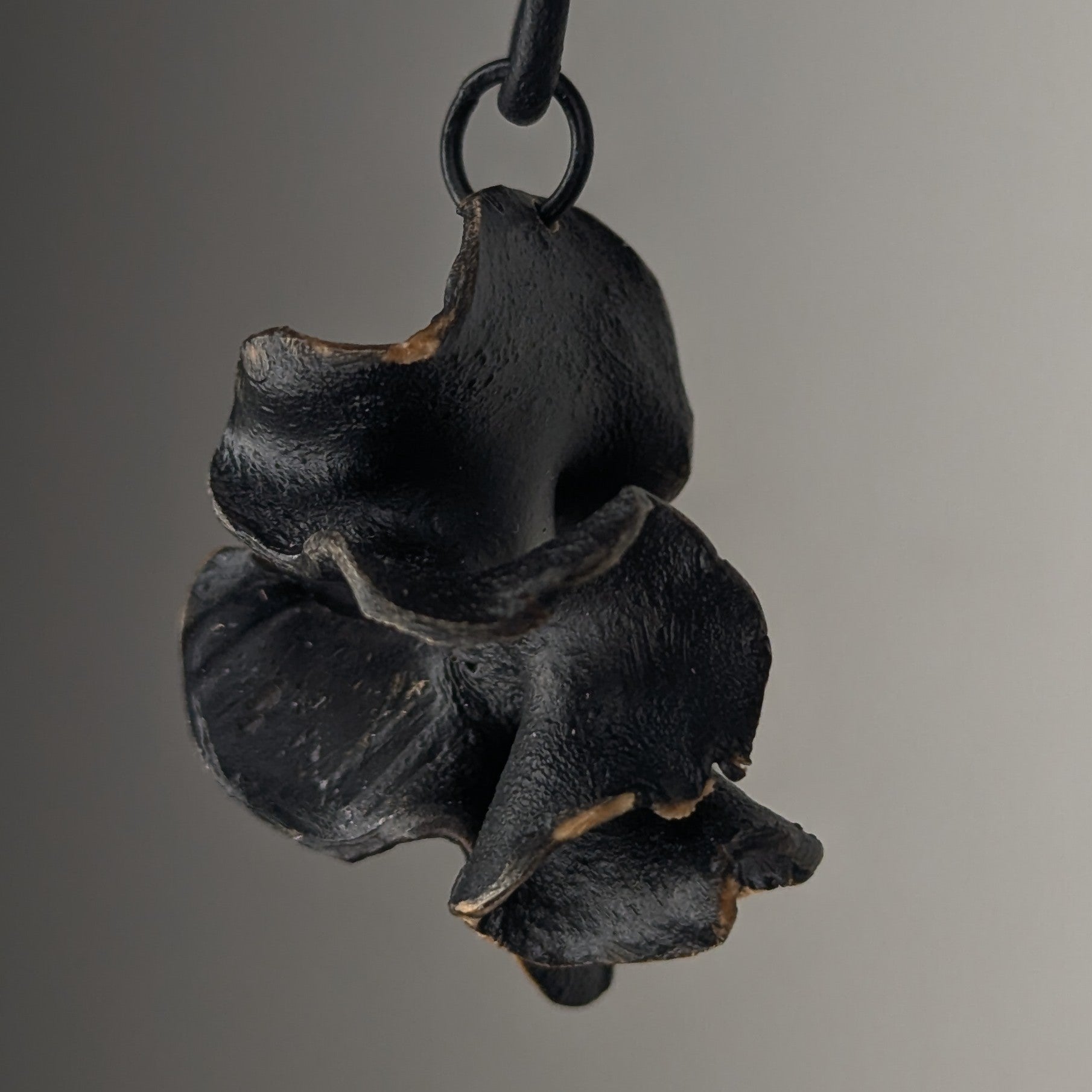 Fucalophrys Pendant Necklace