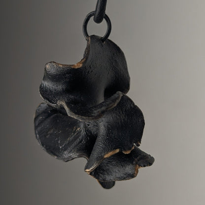 Fucalophrys Pendant Necklace