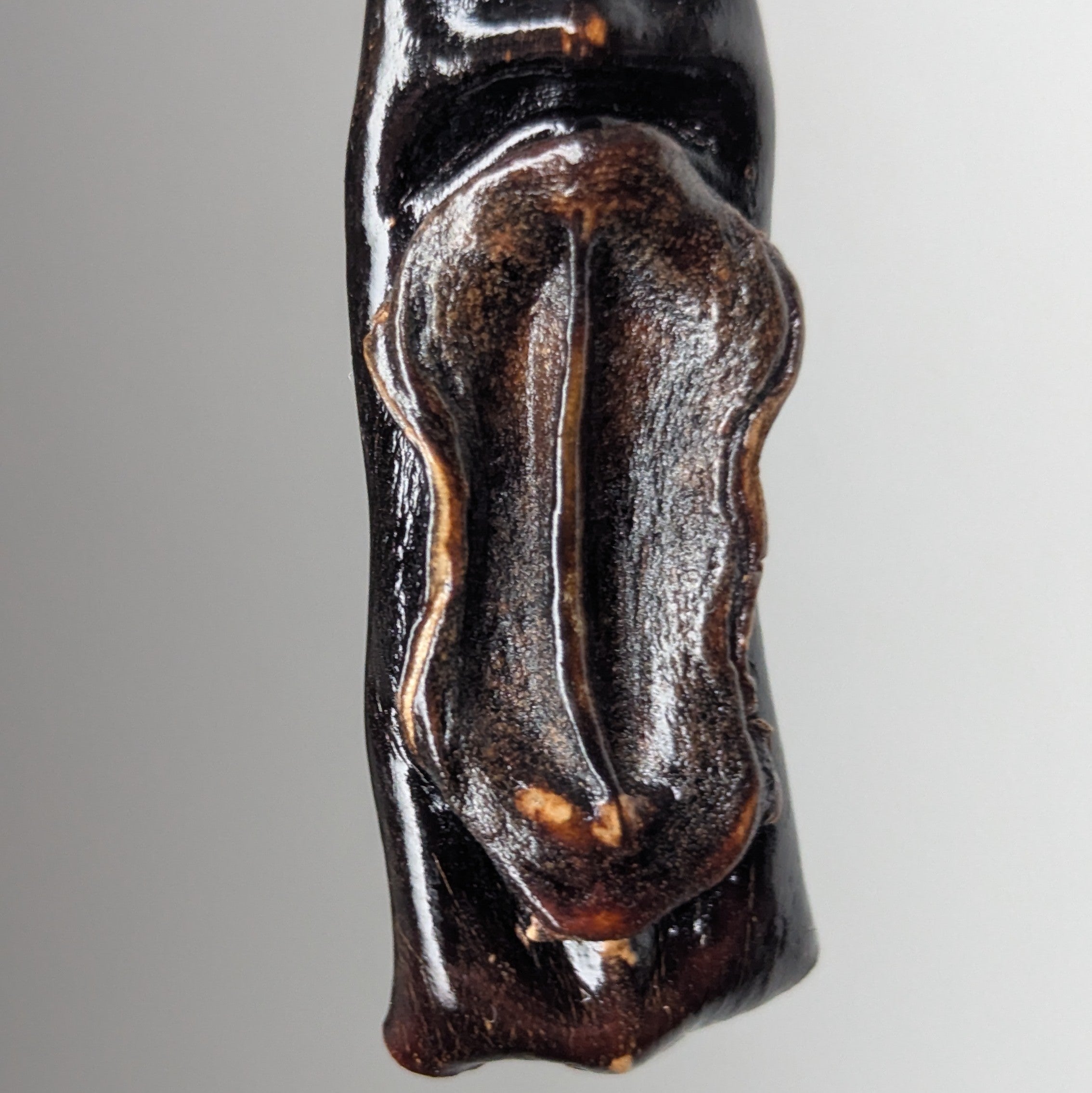 Fucyra Pendant Necklace