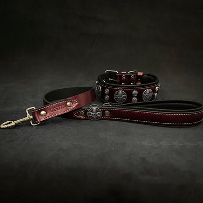 The "Hektor" Burgundy Dog Collar. LIMITED