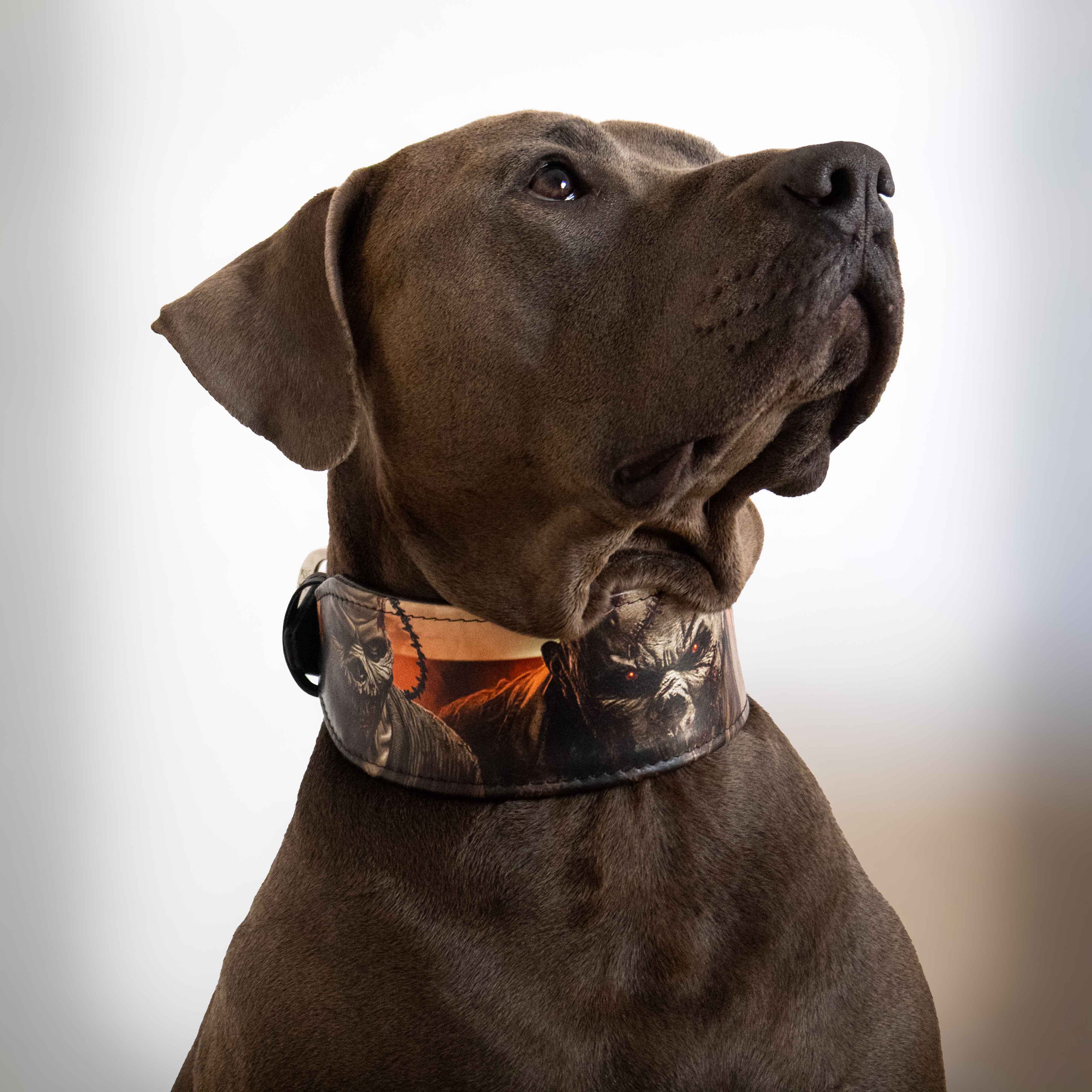 The "Scare" Dog Collar Limited