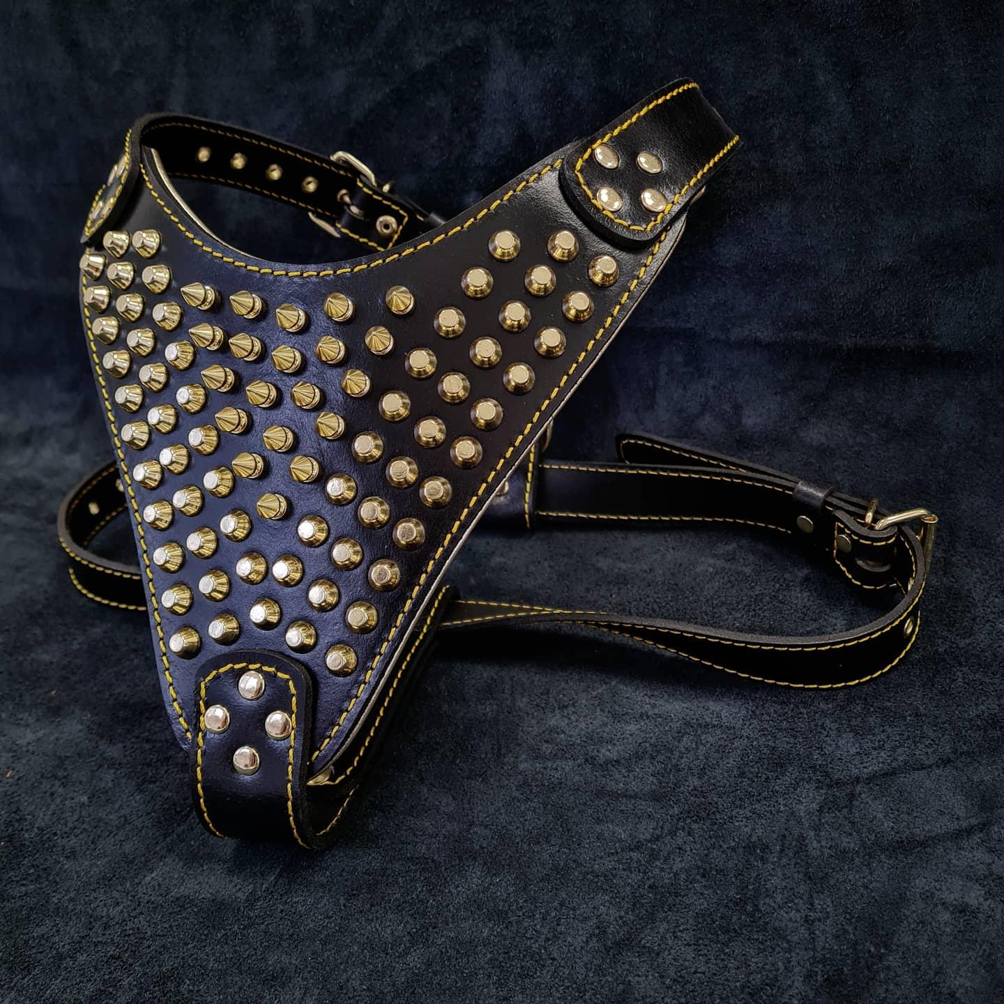 The "Gladiator" Dog Harness. Gold/Silver