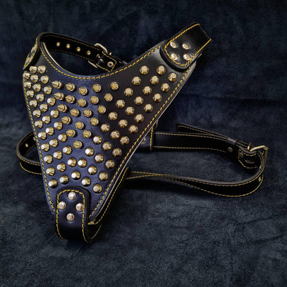 The "Gladiator" Dog Harness. Gold/Silver