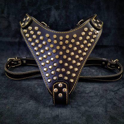 The "Gladiator" Dog Harness. Gold/Silver