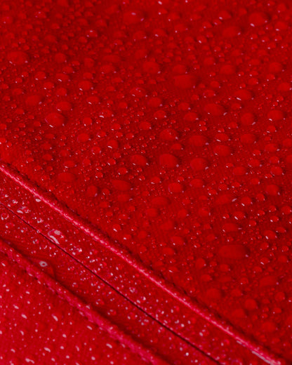 Cascade 21L Backpack - Standard