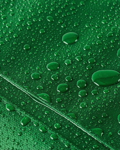 Cascade Kit - UO Ducks