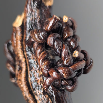 Padocystis Pendant Necklace