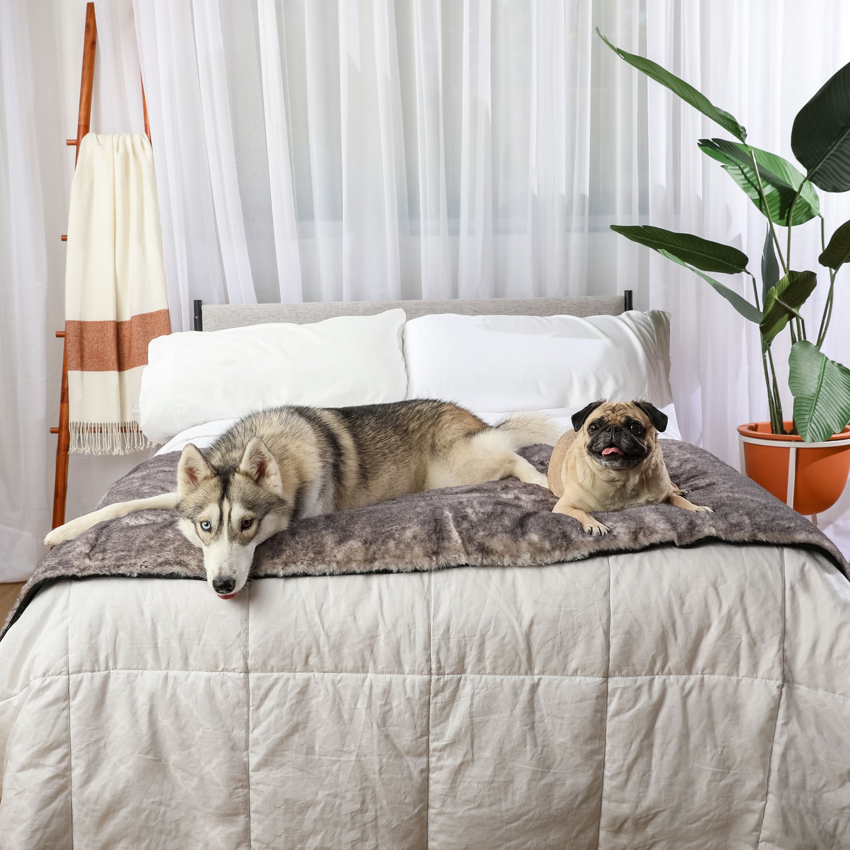 PupProtector™ Luxe Waterproof Bed Runner - Ultra Soft Chinchilla