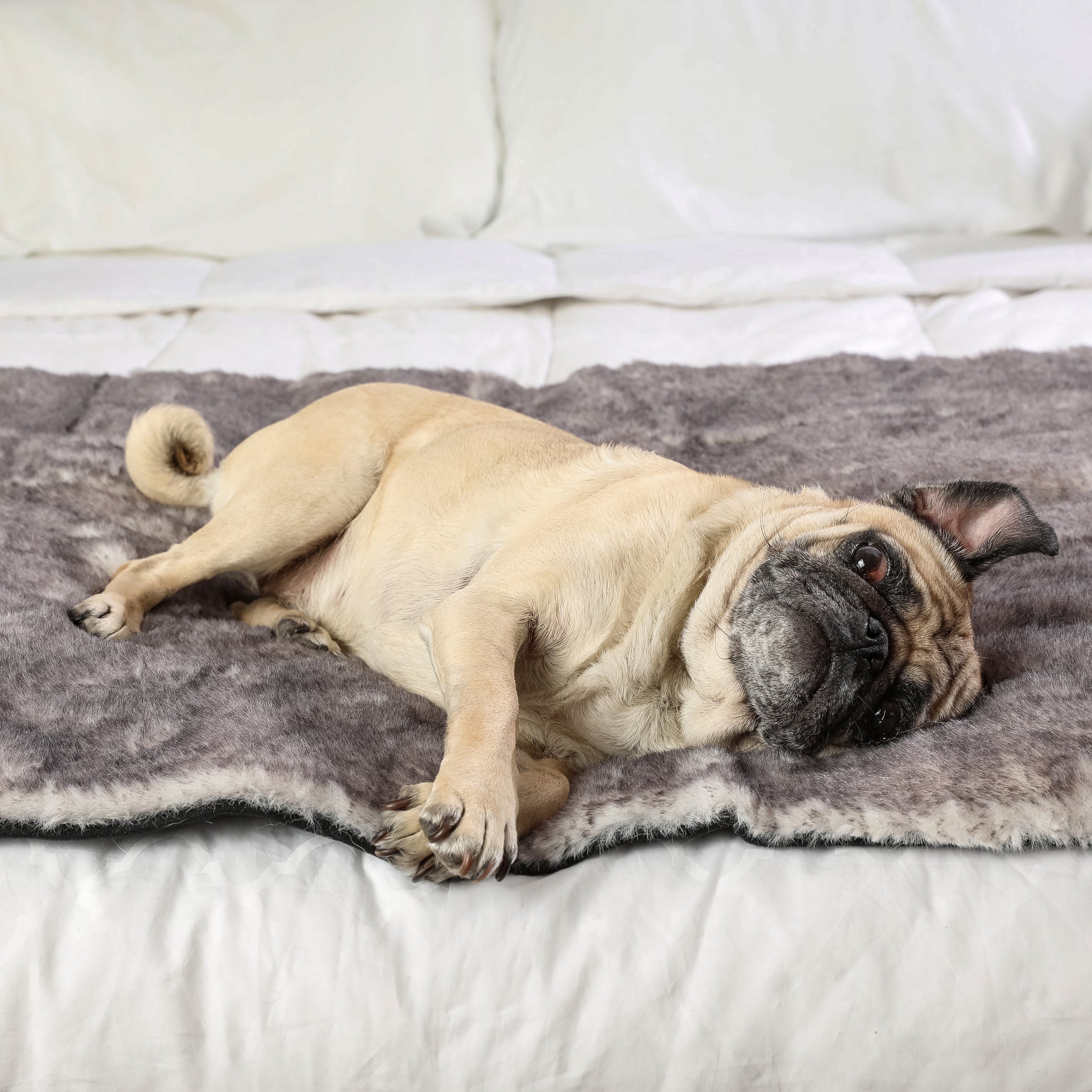 PupProtector™ Luxe Waterproof Bed Runner - Ultra Soft Chinchilla