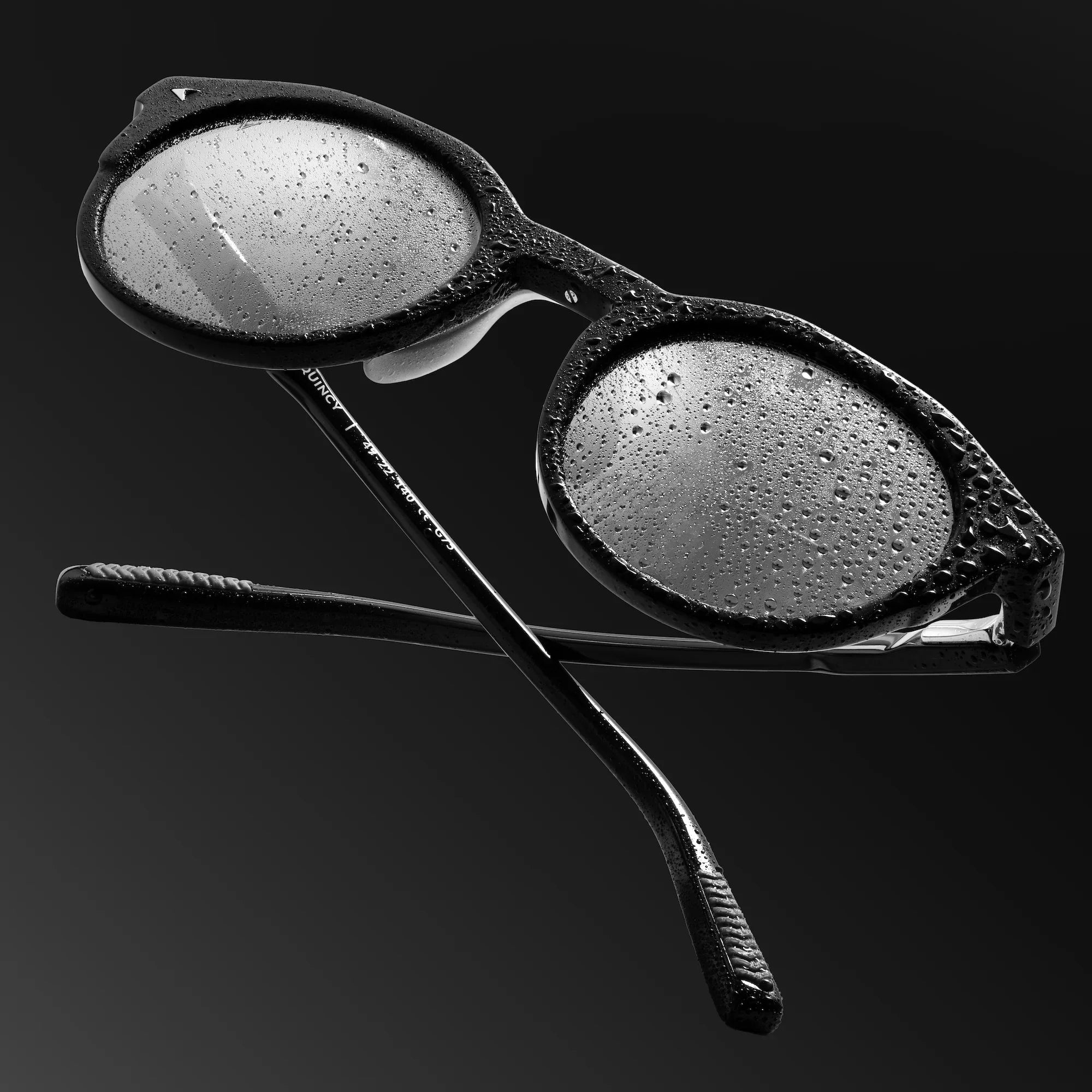 The Quincy Sunglasses - Black Mirror