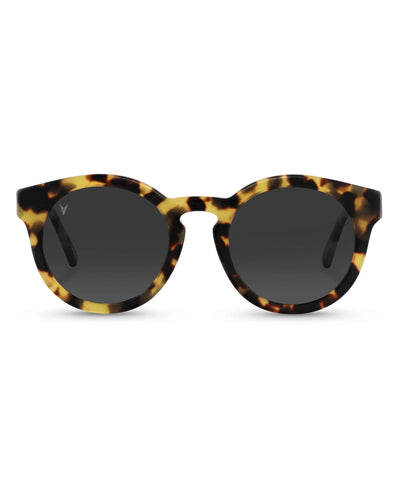 The Quinn Sunglasses - Tokyo