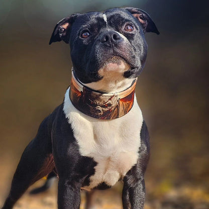 The "Scare" Dog Collar Limited
