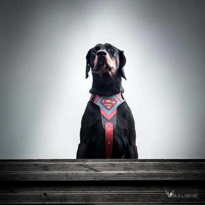 "Superdog" Dog Harness