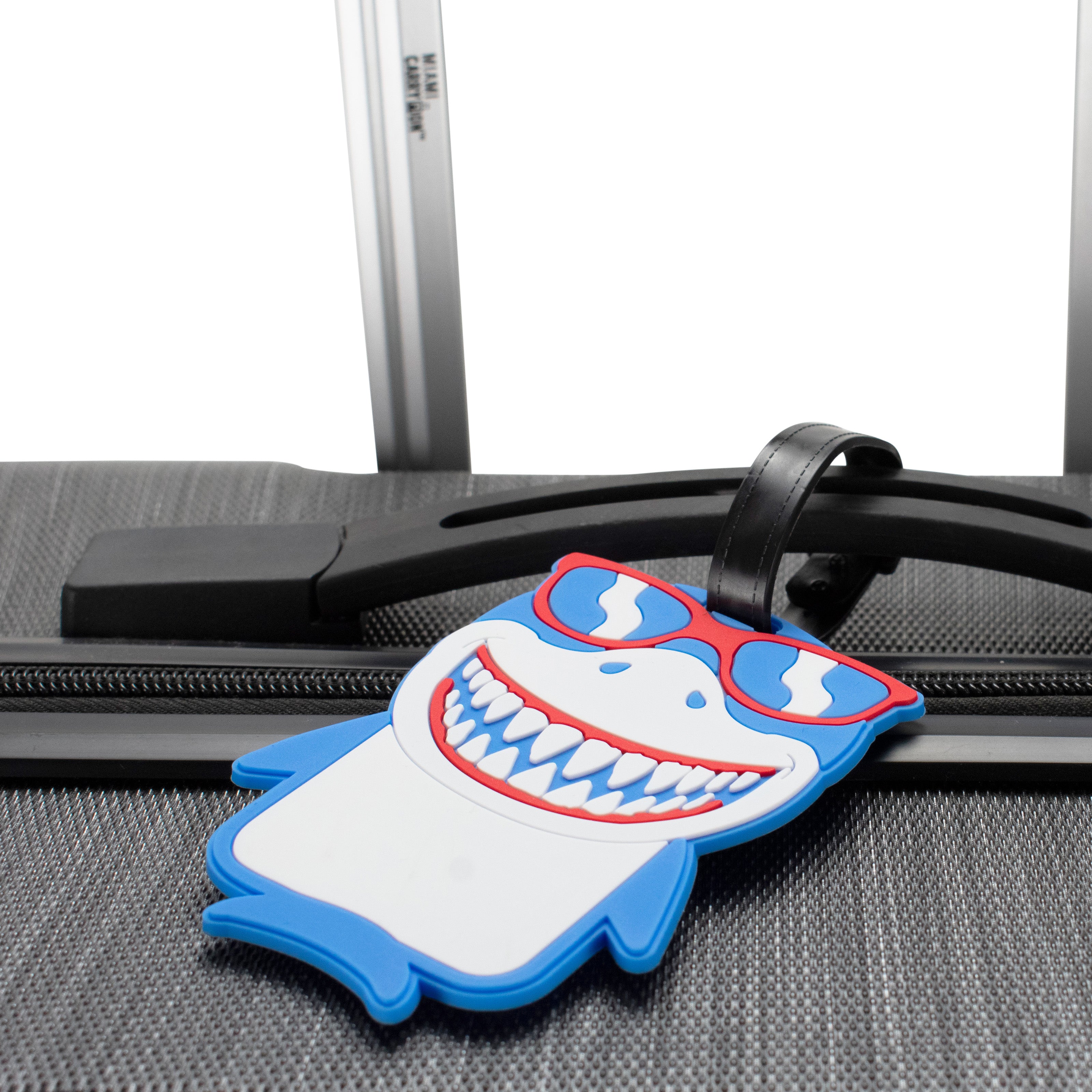 Novelty Collection Luggage Tags Set of 2