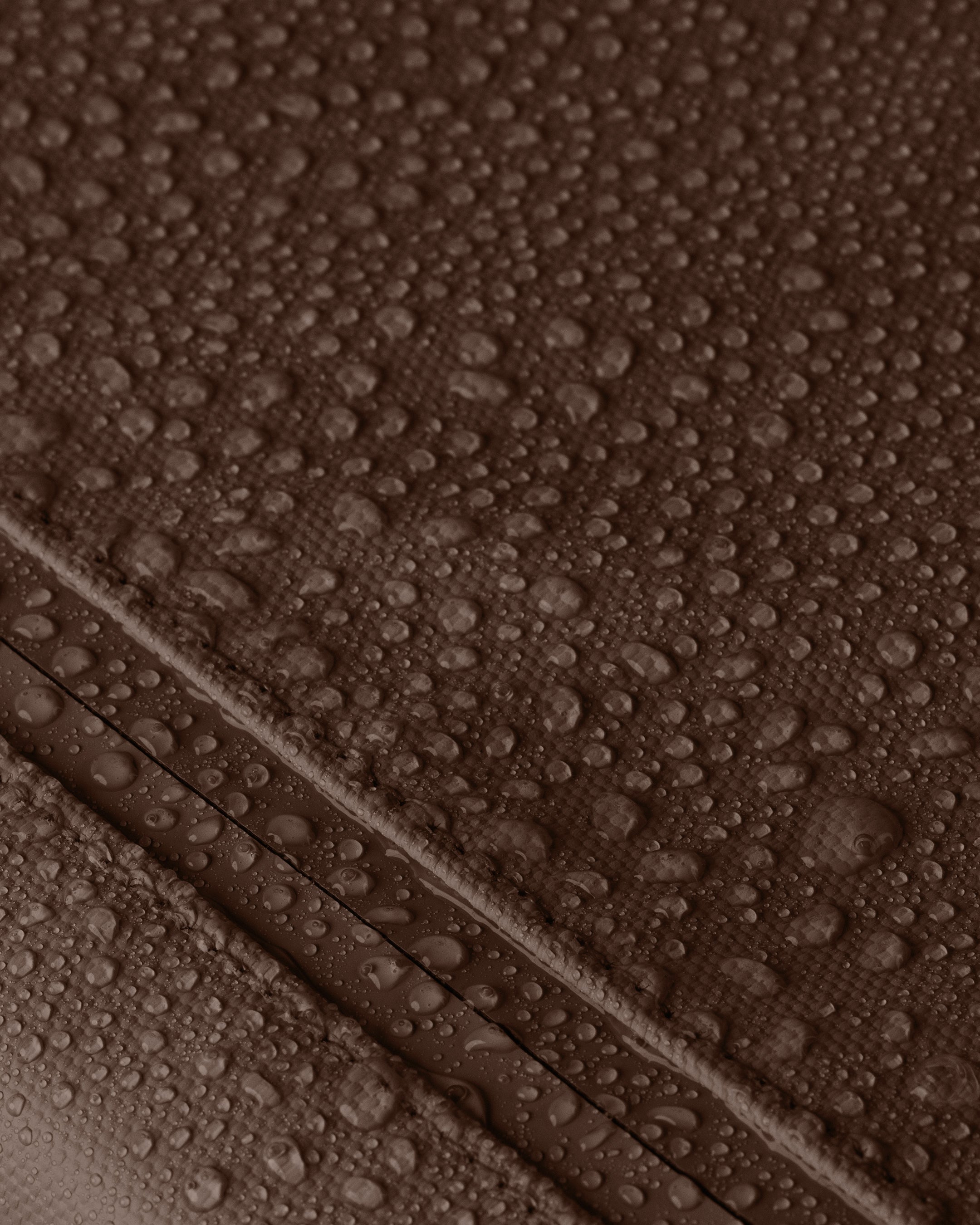 Cascade 21L Backpack - Standard