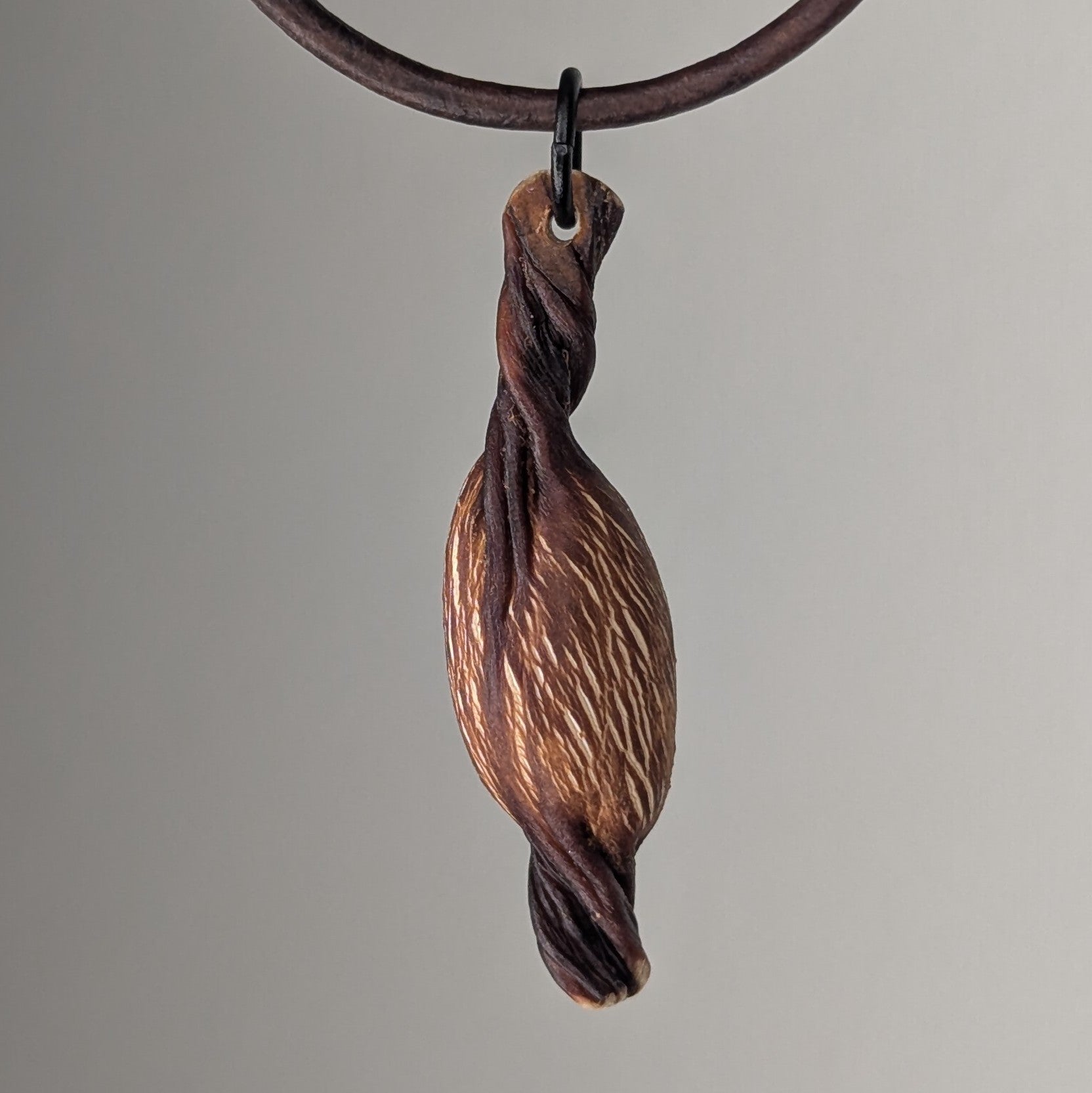 Turbinophycis Pendant Necklace