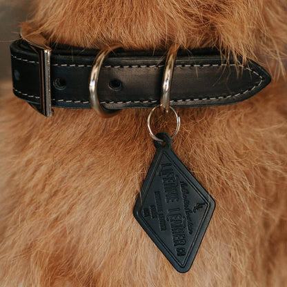 Leather Dog Collar - Designer