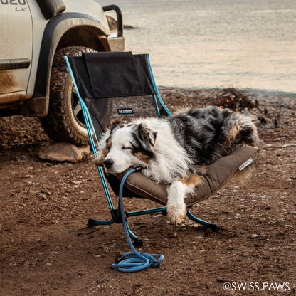 Rope Dog Leash with Auto-Locking Carabiner – 9.8mm Mammut Dry-Treated | Ice Storm Blue | Tuenne